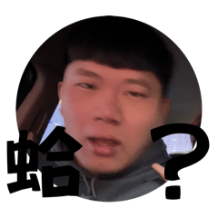 胖胖集