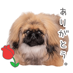 StampNo:5045
