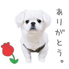 StampNo:5048