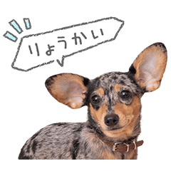 StampNo:5046