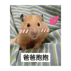 薯泥和皮皮寶寶