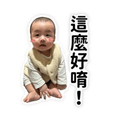 Cute Boba系列