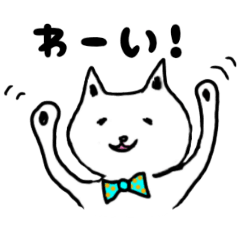 yama_20250317150912