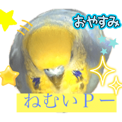 keisuke_20250317150533