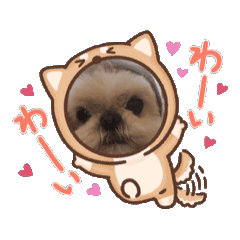 kanna_20250317181353