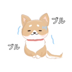 rinrin_20250316231324
