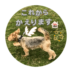 nana_20250317154314