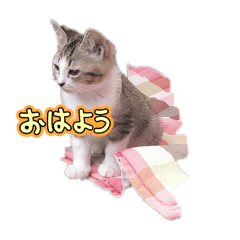 tt_20250317193140