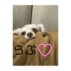 hana_20250317224235