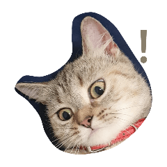 花花珍珠兩姊妹