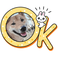 發發呦1