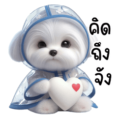 หน้าฝนแล้วน้า ดูแลสุขภาพด้วยฮ้าฟ