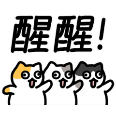 買我的動態小廢圖 4（起鬨的貓貓）
