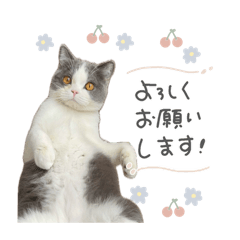 nonnoon_20250318102331