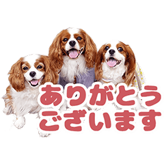 Stickers of Cavalier friends