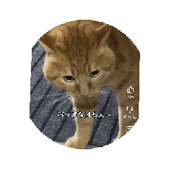 t_20250317183035