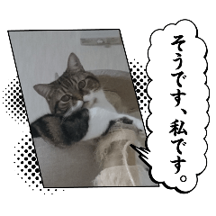 yh_20250317210046