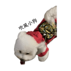 我是吹風vivi
