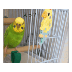 mi_20250318111427