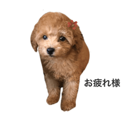 natsu_20250317203513