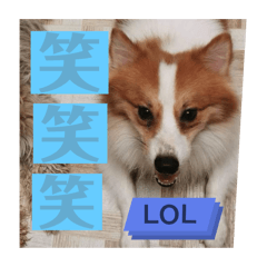 Rei_20250317203424