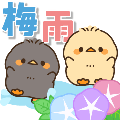 Pop-up! Rainy season chick stickers