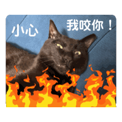 滷肉飯喵～