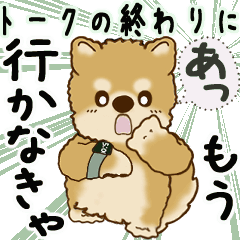 Moving Shiba-inu (end of the talk)