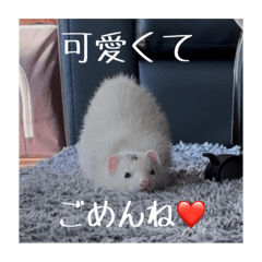 Yuina_20250318125350