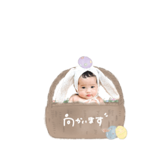 coco_20250317165149