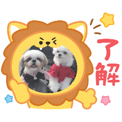 lemon_20250317211731