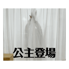 拉手團員