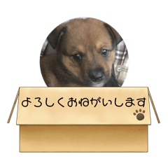 yukina_20250318004936