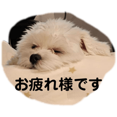YUKINA_202503180520