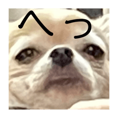 Ai_20250318014627