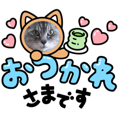 yuki_20250318094230