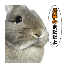Natsumi_20250318143833