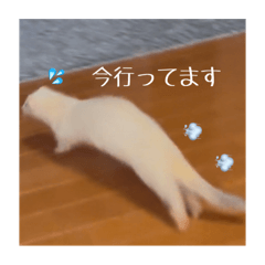 Yuina_20250318144402