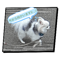 yuna_20250318132916