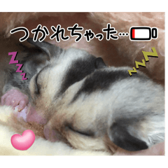 choco_20250317222013