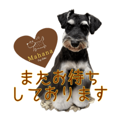 hazu_20250317191612