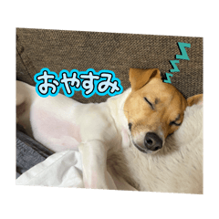 cheez_20250318002409