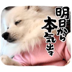 Evan_20250318104609