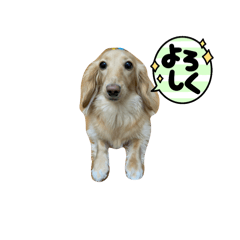 akiko_20250318111101