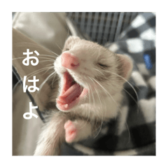 Yuina_20250318111722