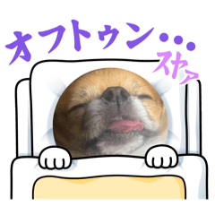 yuina_20250318113821