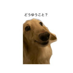 kaito_20250318150754