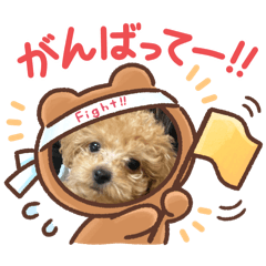 sachi_202503181515082