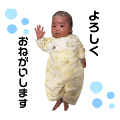 koto_20250318144837