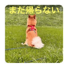 SAYAKA_20250318165004